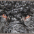 Kirito's eyes  