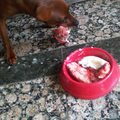 Jazzy eet haar geitenvlees