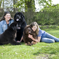 kennel Procyon l'etoile du lac