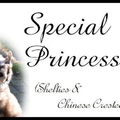 Special Princess
