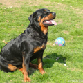 Baeten