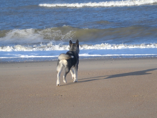 Zena op t strand