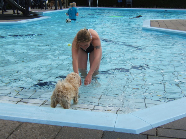 Hondenzwemmen Hoekse Badje