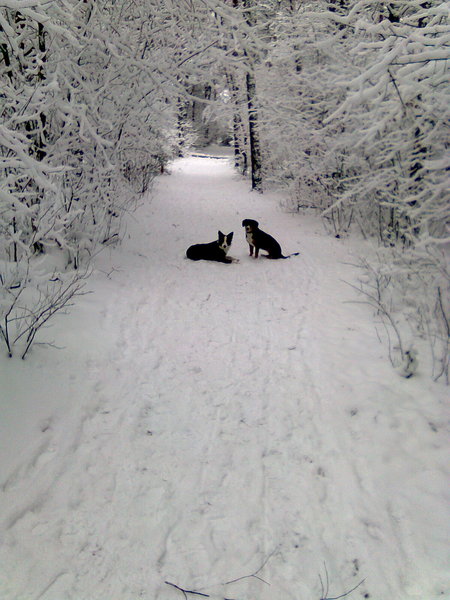 Gitta en Dirk in de sneeuw