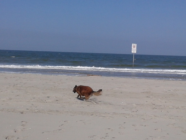 Rennen op het strand