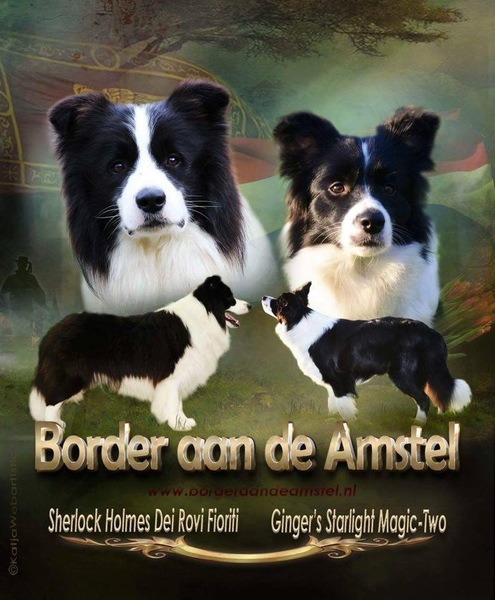 Border aan de Amstel