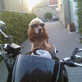 Oliver op de moto.