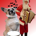 Midas met zijn trommel en de kerstman met de accordeon. :)