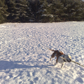 Leuk spelen met men stokie in de sneeuw!