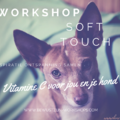 Workshop Soft Touch voor Hond en Mens