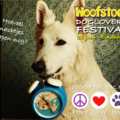 Woofstock Doglovers Festival