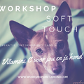 Workshop Soft Touch voor Hond en Mens