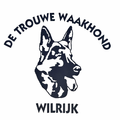 De Trouwe Waakhond Wilrijk. wedstrijd ringsport cat.3