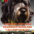 Clubdag Vereniging Portugese Rashonden Nederland