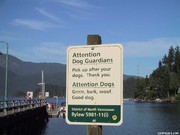 Moppen over honden