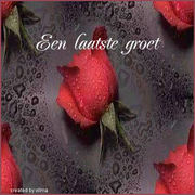 Crematoria & begraafplaatsen dieren