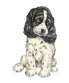 Boeken: Vijftig honden spelletjes
