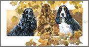 Boeken: Wat denkt mijn hond?
