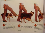 Boek; Hondenspelletjes
