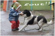 Hond & baby / peuter enz.