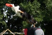 hondenfrisbee