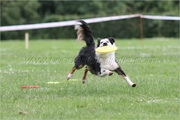 hondenfrisbee