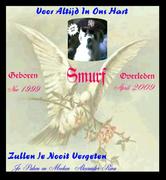 Afscheid van m'n huisdier