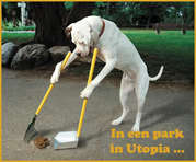 Moppen over honden