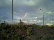 Afscheid van m'n huisdier
