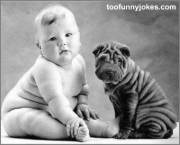 Moppen over honden