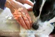 TTouch® je hond!