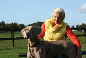 TTouch® je hond!