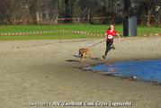 Canicross Hardlopen met je hond