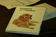 Kanker bij honden...