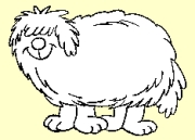 Overgewicht bij de hond