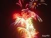 Bang voor vuurwerk