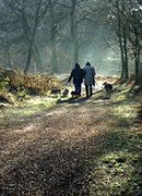 Bewegingsadvies voor de hond