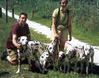Dalmatische hond fokker