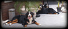 Berner Sennenhond fokker