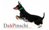 Duitse Pinscher fokker
