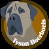 Boerboel fokker