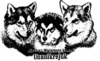 Alaskan Malamute fokker