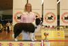 Border Collie fokker