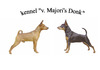Dwergpinscher fokker