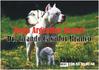 Dogo Argentino fokker