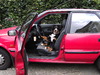 Berner Sennenhond fokker