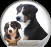 Entlebucher Sennenhond fokker