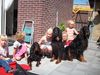 Gordon Setter fokker