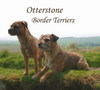 Border Terrier fokker