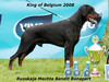 Dobermann fokker